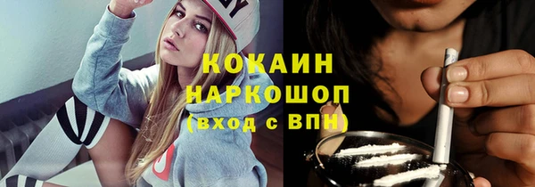 гашик Новодвинск