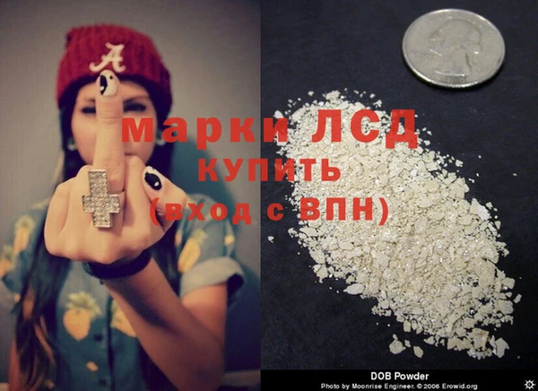 гашик Новодвинск
