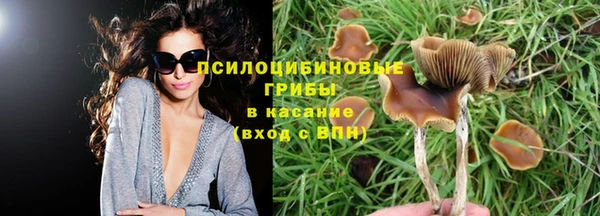 гашик Новодвинск