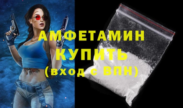 гашик Новодвинск