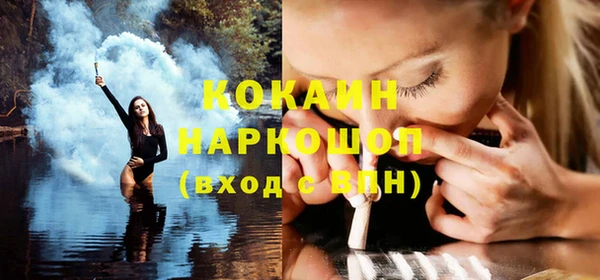 гашик Новодвинск
