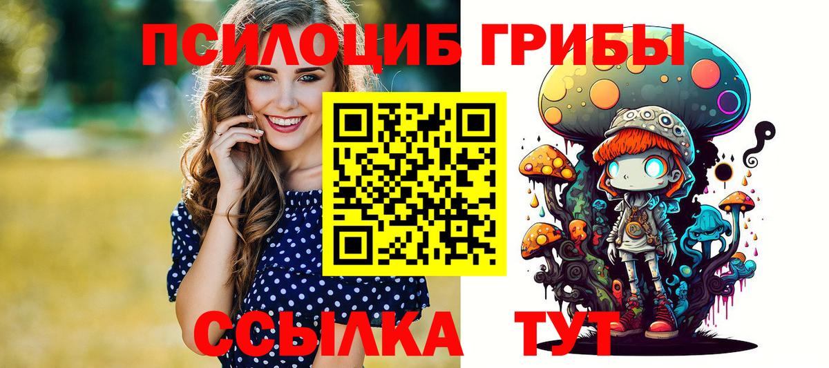 Электросталь  Псилоцибиновые грибы Cubensis  Вход с VPN 