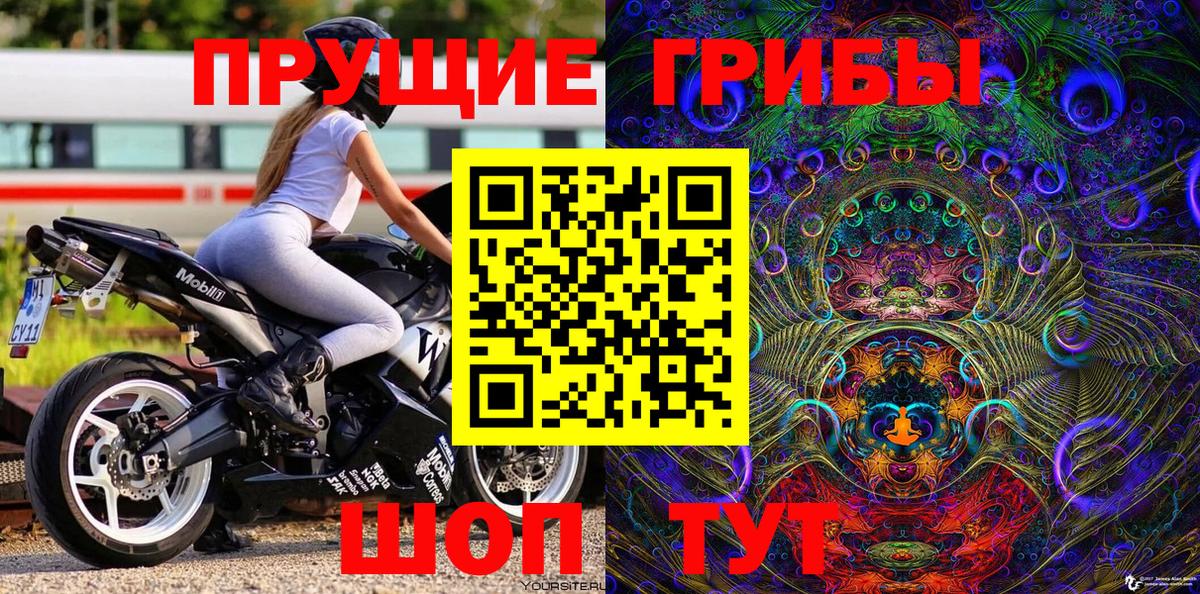 Галлюциногенные грибы Psilocybine cubensis Электросталь